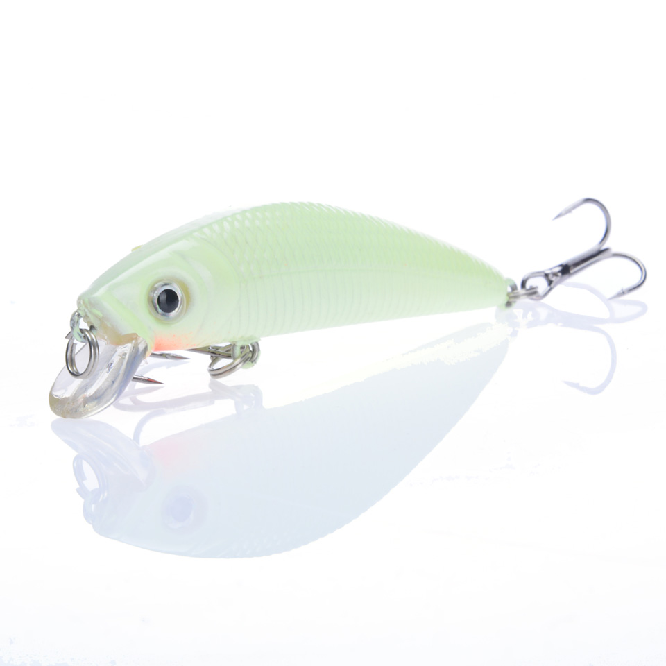 1Pcs 3D Luminous Night Fishing - Fishing Lure Making Kit 评论和价格